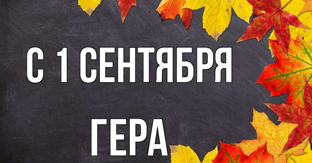 Открытка на каждый день с именем, Гера С 1 сентября с днем знаний Прикольная открытка с пожеланием онлайн скачать бесплатно 