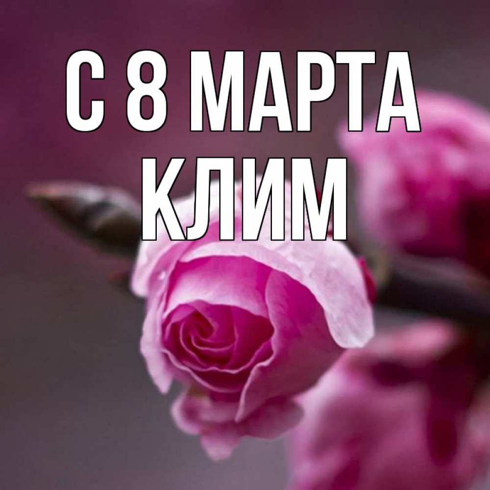 Открытка на каждый день с именем, Клим С 8 МАРТА весна Прикольная открытка с пожеланием онлайн скачать бесплатно 