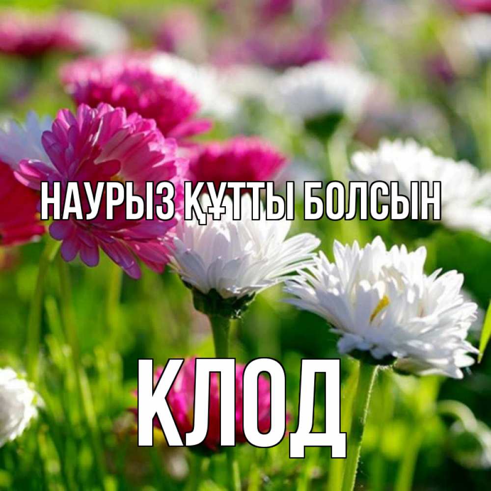 Открытка на каждый день с именем, Клод Наурыз құтты болсын наурыз Прикольная открытка с пожеланием онлайн скачать бесплатно 