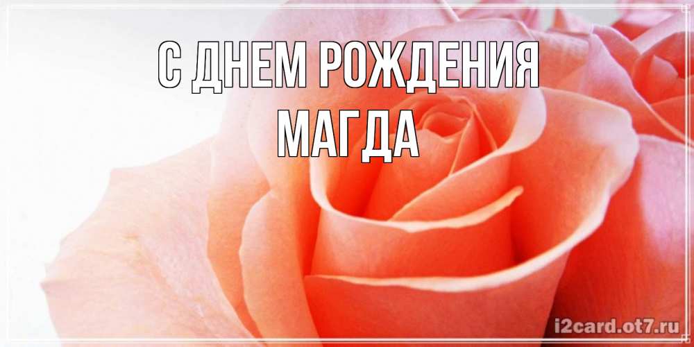 Открытка на каждый день с именем, Магда С днем рождения розы для поздравления с днем рождения Прикольная открытка с пожеланием онлайн скачать бесплатно 