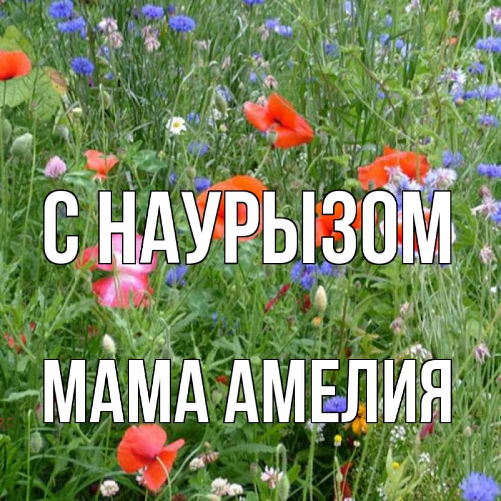 Открытка на каждый день с именем, Мама-Амелия С наурызом праздник весны наурыз супер открытка Прикольная открытка с пожеланием онлайн скачать бесплатно 