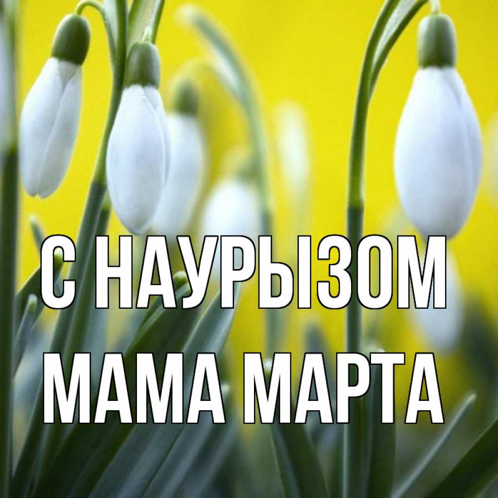 Открытка на каждый день с именем, Мама-Марта С наурызом весенние цветы Прикольная открытка с пожеланием онлайн скачать бесплатно 