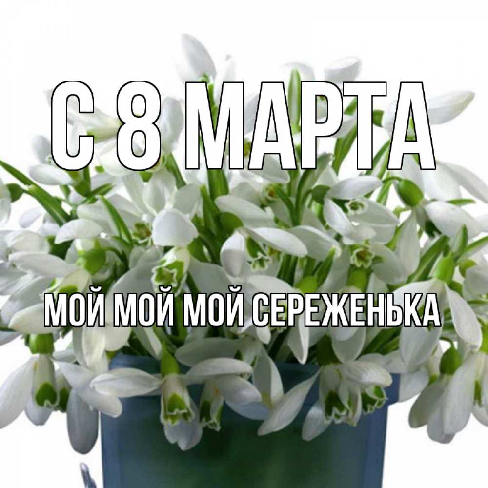 Открытка на каждый день с именем, Мой-мой-мой-Сереженька С 8 МАРТА цветы к международному женскому дню Прикольная открытка с пожеланием онлайн скачать бесплатно 