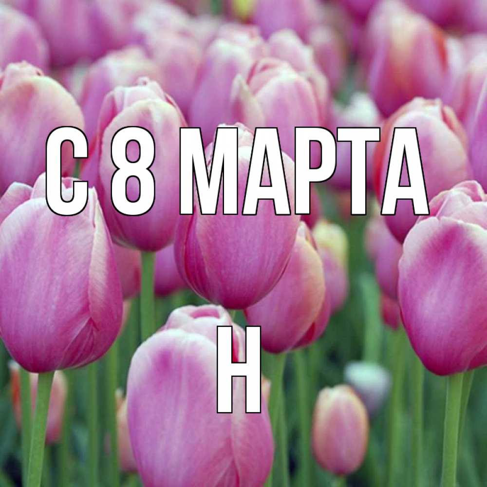 Открытка на каждый день с именем, Н С 8 марта на международный женский день 3 Прикольная открытка с пожеланием онлайн скачать бесплатно 