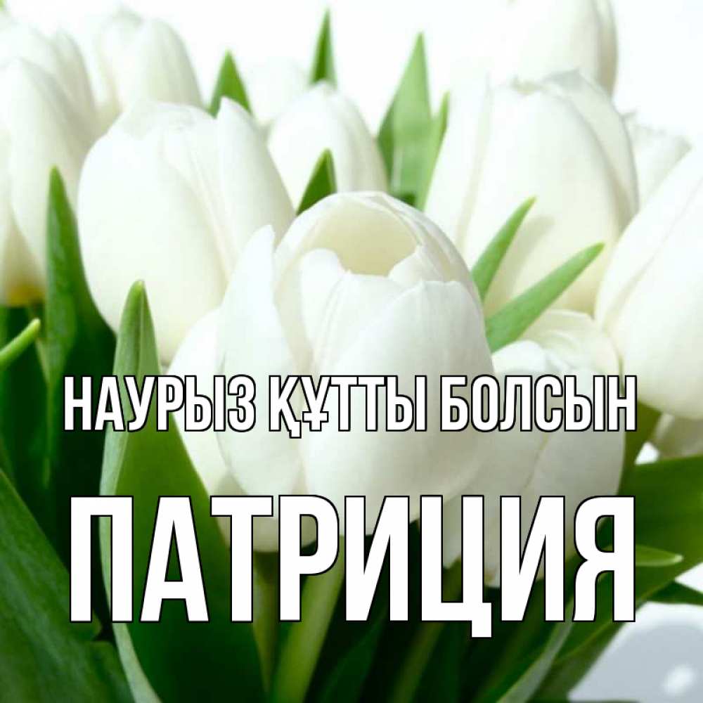 Открытка на каждый день с именем, Патриция Наурыз құтты болсын цветы Прикольная открытка с пожеланием онлайн скачать бесплатно 