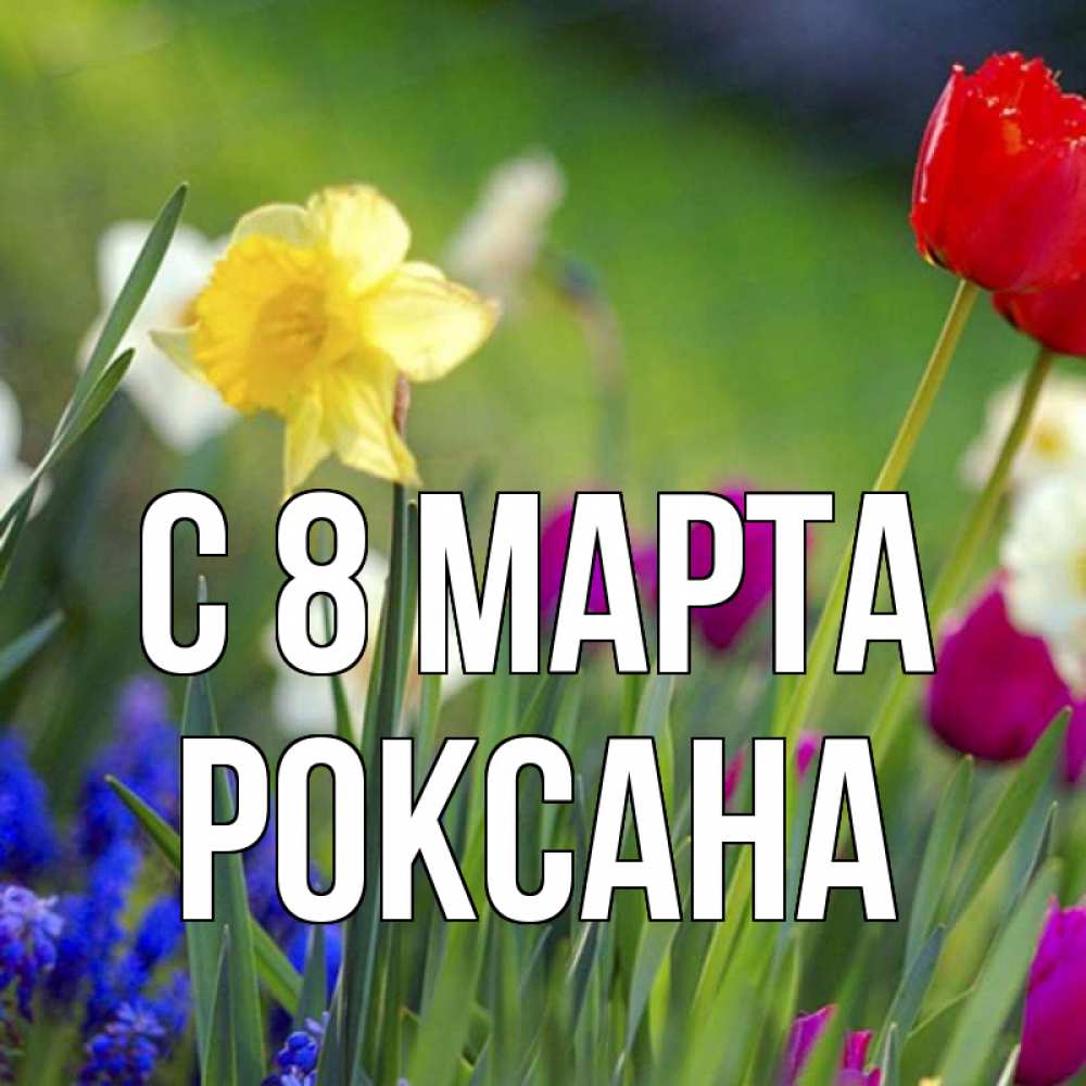 Открытка на каждый день с именем, Роксана С 8 МАРТА международный женский день 3 Прикольная открытка с пожеланием онлайн скачать бесплатно 