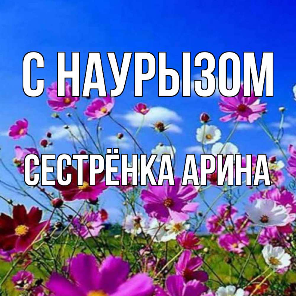 Открытка на каждый день с именем, Сестрёнка-Арина С наурызом цветы Прикольная открытка с пожеланием онлайн скачать бесплатно 