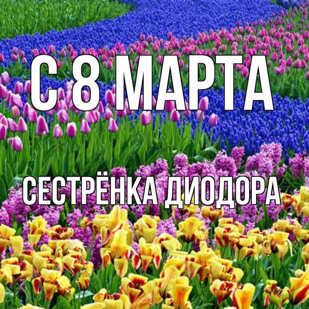 Открытка на каждый день с именем, Сестрёнка-Диодора С 8 МАРТА цветы Прикольная открытка с пожеланием онлайн скачать бесплатно 