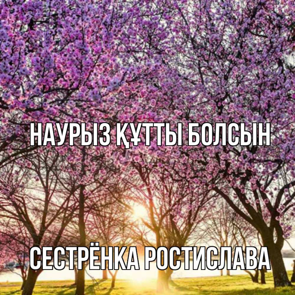 Открытка на каждый день с именем, Сестрёнка-Ростислава Наурыз құтты болсын наурыз Прикольная открытка с пожеланием онлайн скачать бесплатно 