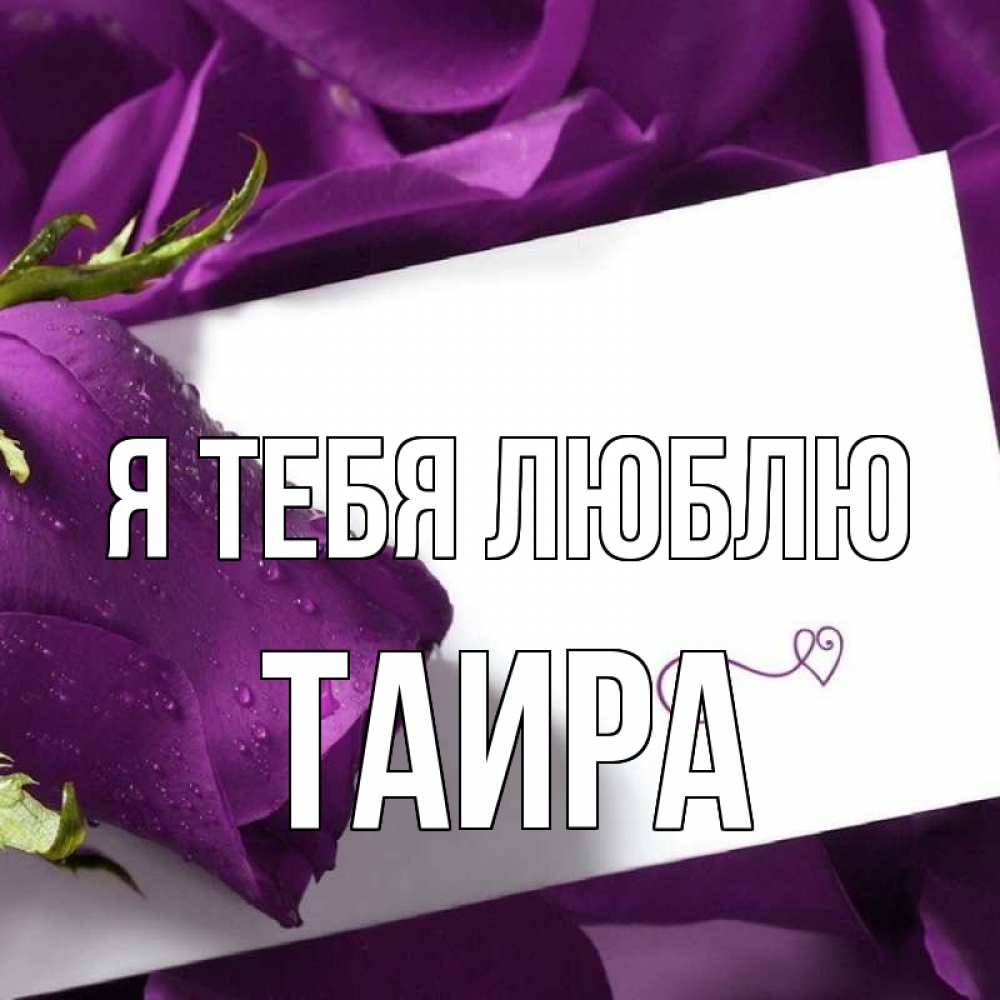 Открытка на каждый день с именем, Таира Я тебя люблю роза Прикольная открытка с пожеланием онлайн скачать бесплатно 