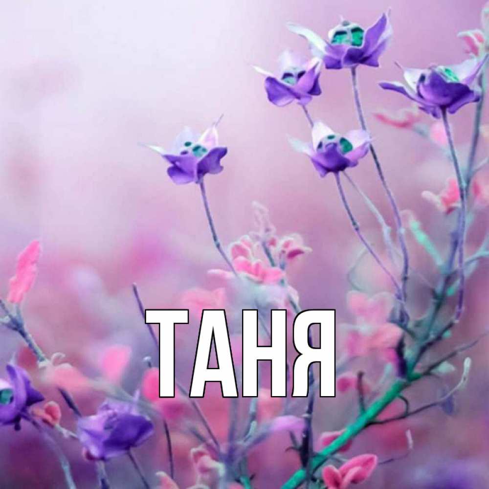 Открытка на каждый день с именем, Таня Главная международный женский день 2 Прикольная открытка с пожеланием онлайн скачать бесплатно 