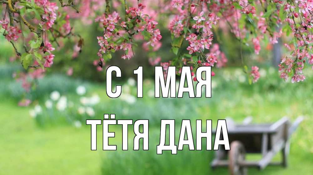 Открытка на каждый день с именем, Тётя-Дана С 1 мая С 1 мая Прикольная открытка с пожеланием онлайн скачать бесплатно 