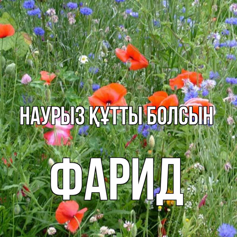 Открытка на каждый день с именем, Фарид Наурыз құтты болсын наурыз  4 Прикольная открытка с пожеланием онлайн скачать бесплатно 