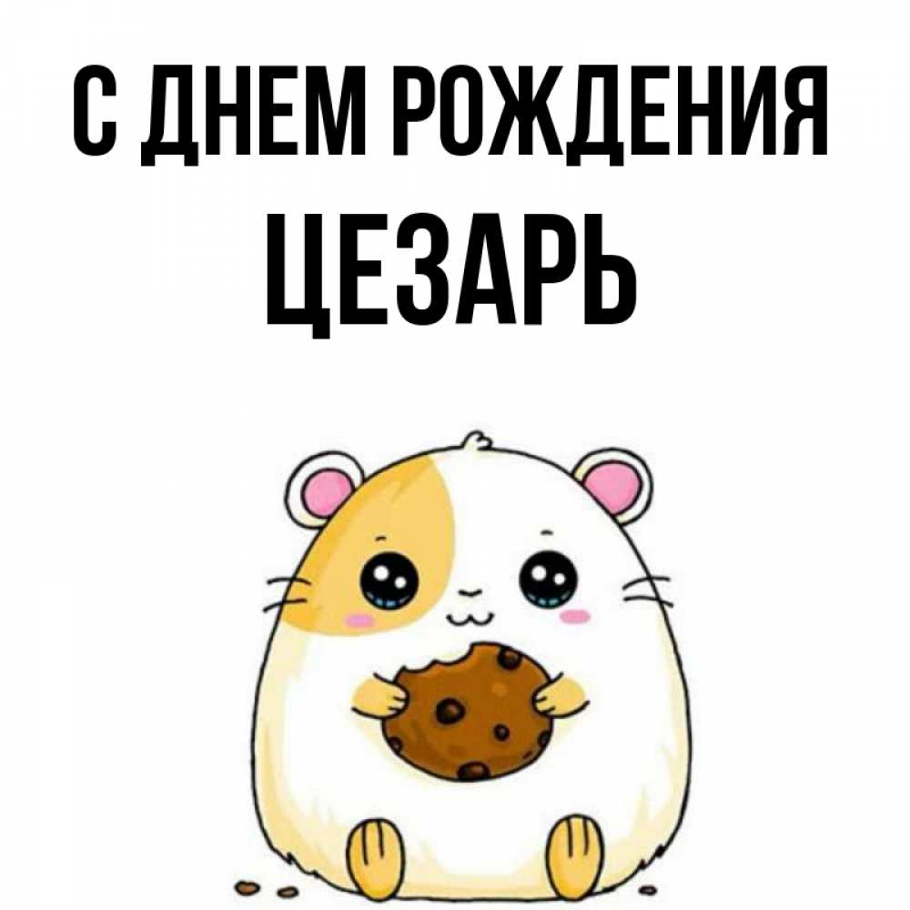 Открытка на каждый день с именем, Цезарь С днем рождения с днюхой Прикольная открытка с пожеланием онлайн скачать бесплатно 