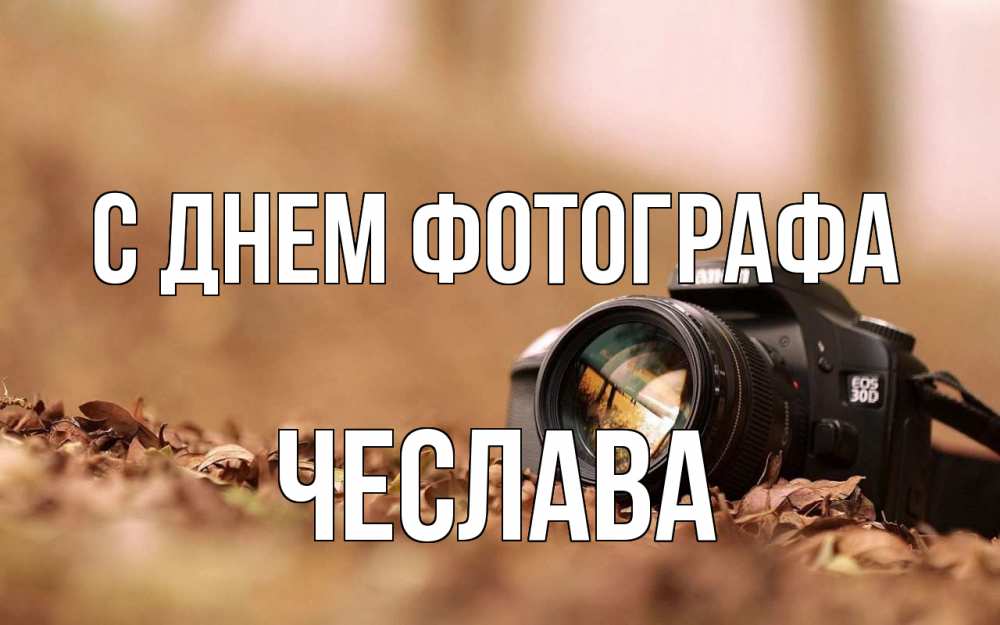 Открытка на каждый день с именем, Чеслава С днем фотографа с днем фотографа Прикольная открытка с пожеланием онлайн скачать бесплатно 