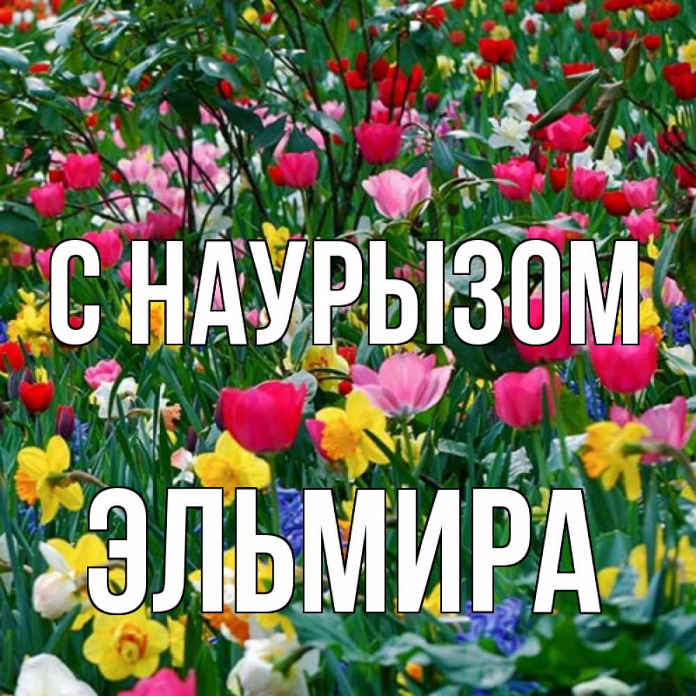 Открытка на каждый день с именем, Эльмира С наурызом с наурызом праздником весны поздравления для женщины Прикольная открытка с пожеланием онлайн скачать бесплатно 