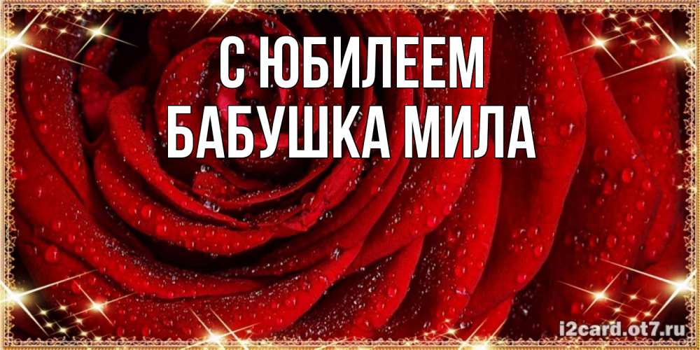 Открытка на каждый день с именем, Бабушка-Мила С юбилеем роса на розе блестящая в лучах солнца Прикольная открытка с пожеланием онлайн скачать бесплатно 