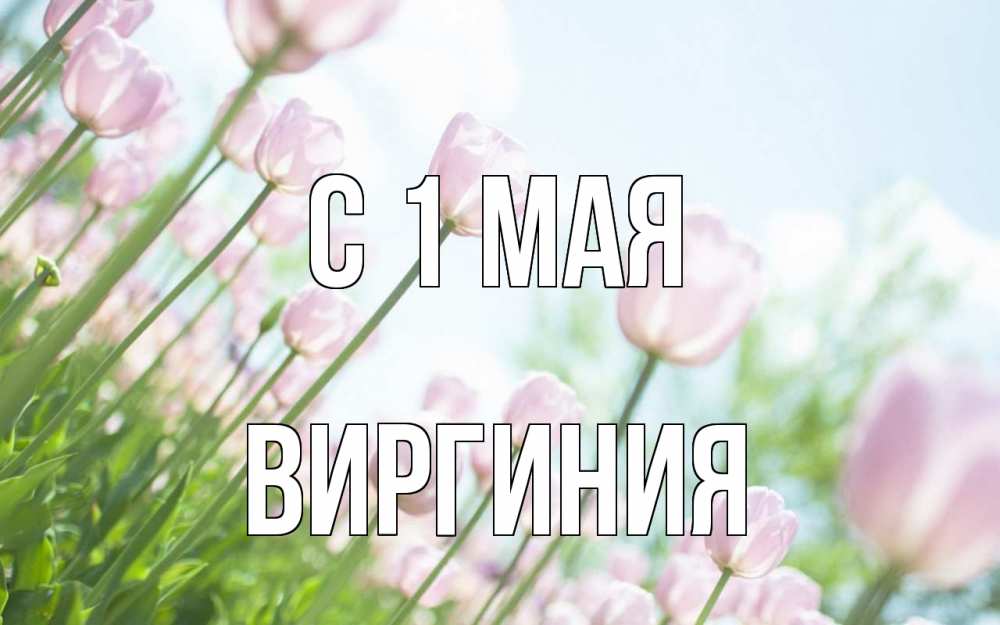 Открытка на каждый день с именем, Виргиния С 1 мая С 1 мая Прикольная открытка с пожеланием онлайн скачать бесплатно 