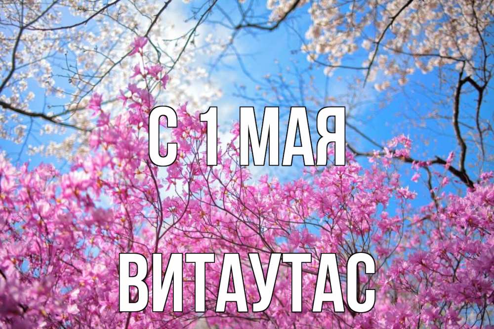 Открытка на каждый день с именем, Витаутас С 1 мая С 1 мая Прикольная открытка с пожеланием онлайн скачать бесплатно 