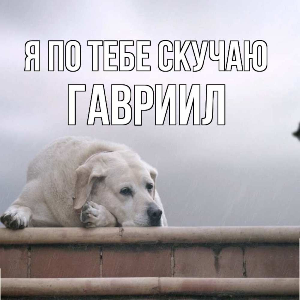 Открытка на каждый день с именем, Гавриил Я по тебе скучаю ждет Прикольная открытка с пожеланием онлайн скачать бесплатно 