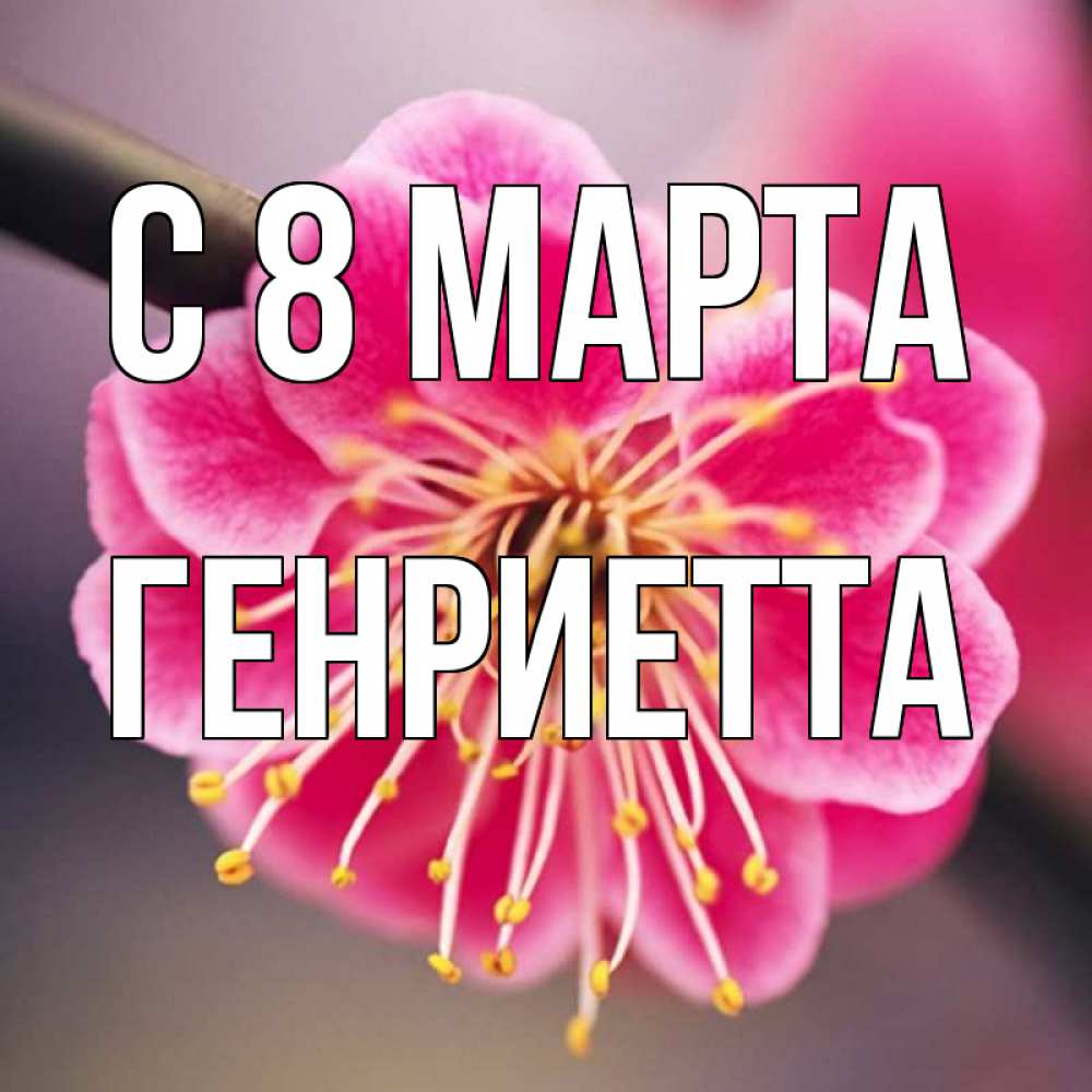 Открытка на каждый день с именем, Генриетта С 8 МАРТА цветы Прикольная открытка с пожеланием онлайн скачать бесплатно 