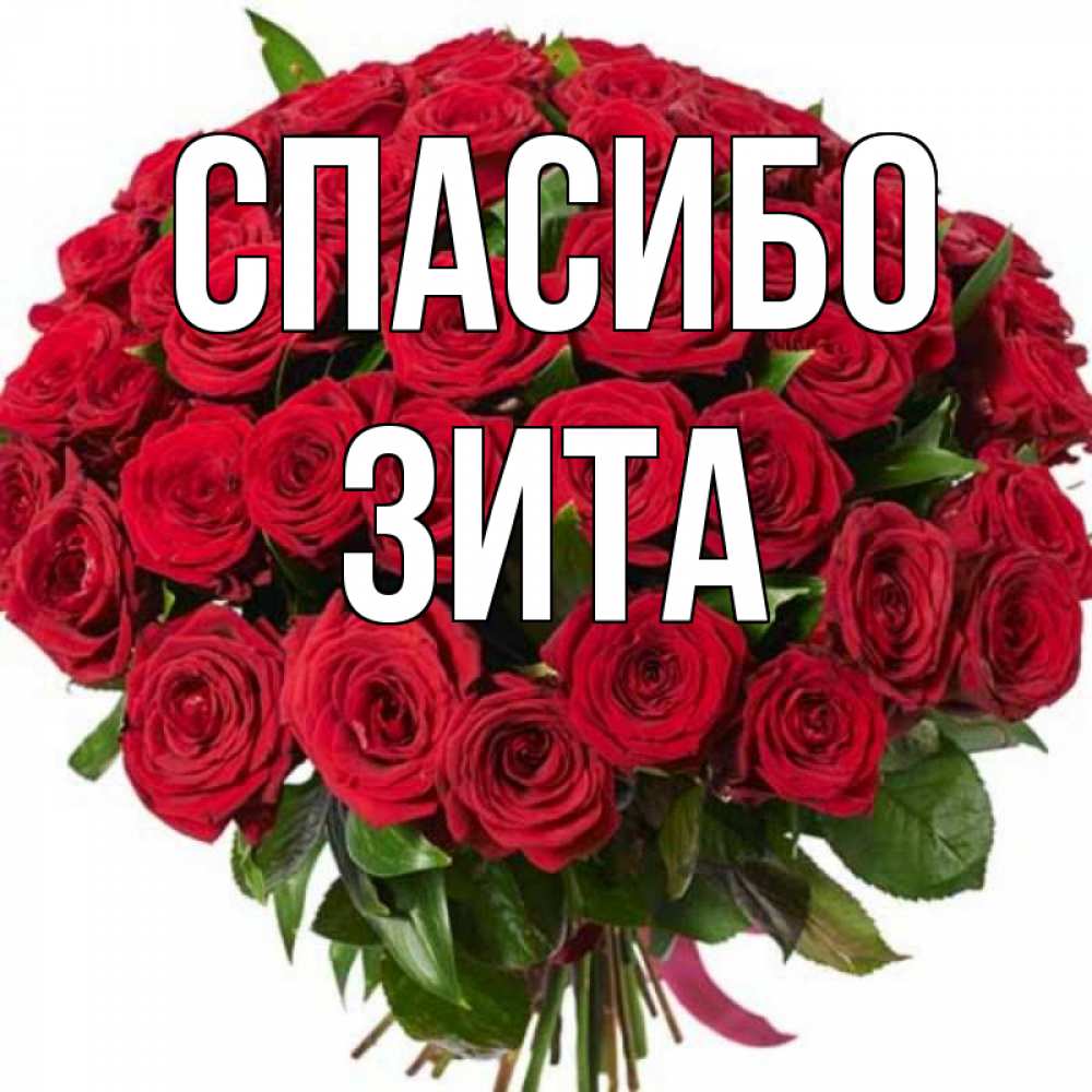 Открытка на каждый день с именем, Зита Спасибо букет красных роз Прикольная открытка с пожеланием онлайн скачать бесплатно 