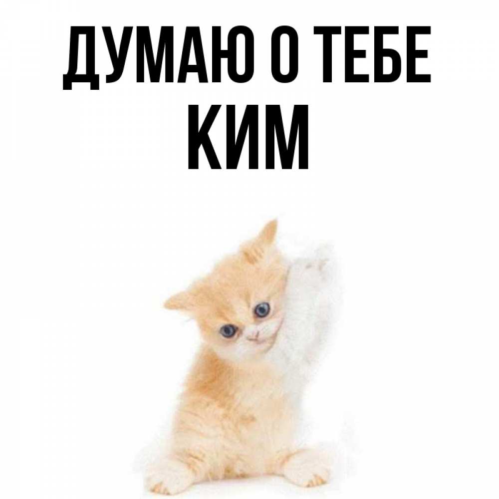 Открытка на каждый день с именем, Ким Думаю о тебе зверушки и милота Прикольная открытка с пожеланием онлайн скачать бесплатно 