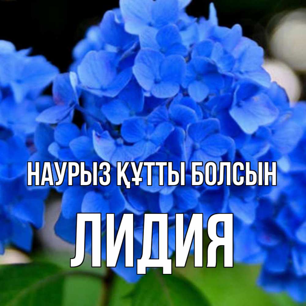 Открытка на каждый день с именем, Лидия Наурыз құтты болсын синие цветы Прикольная открытка с пожеланием онлайн скачать бесплатно 
