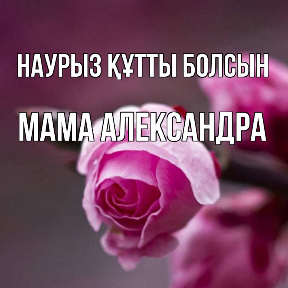 Открытка на каждый день с именем, Мама-Александра Наурыз құтты болсын весна Прикольная открытка с пожеланием онлайн скачать бесплатно 