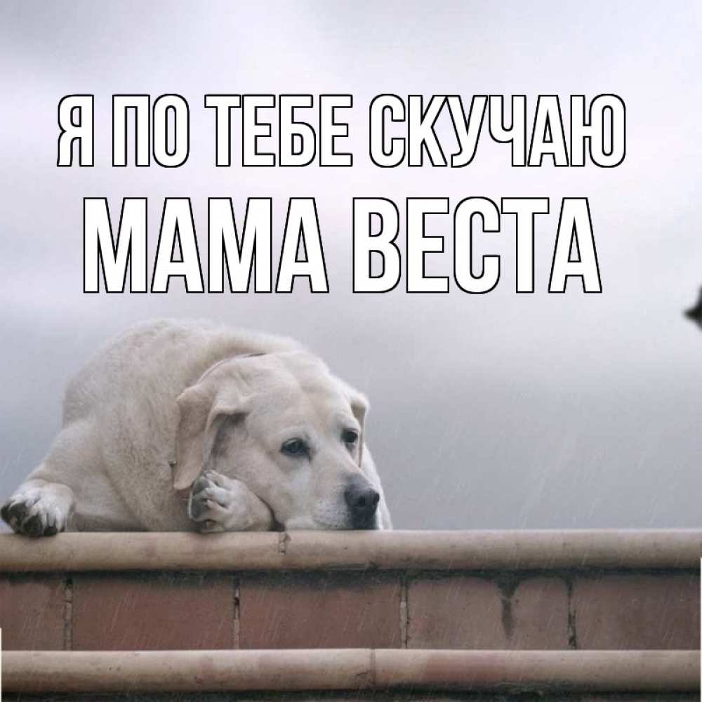Открытка на каждый день с именем, Мама-Веста Я по тебе скучаю ждет Прикольная открытка с пожеланием онлайн скачать бесплатно 