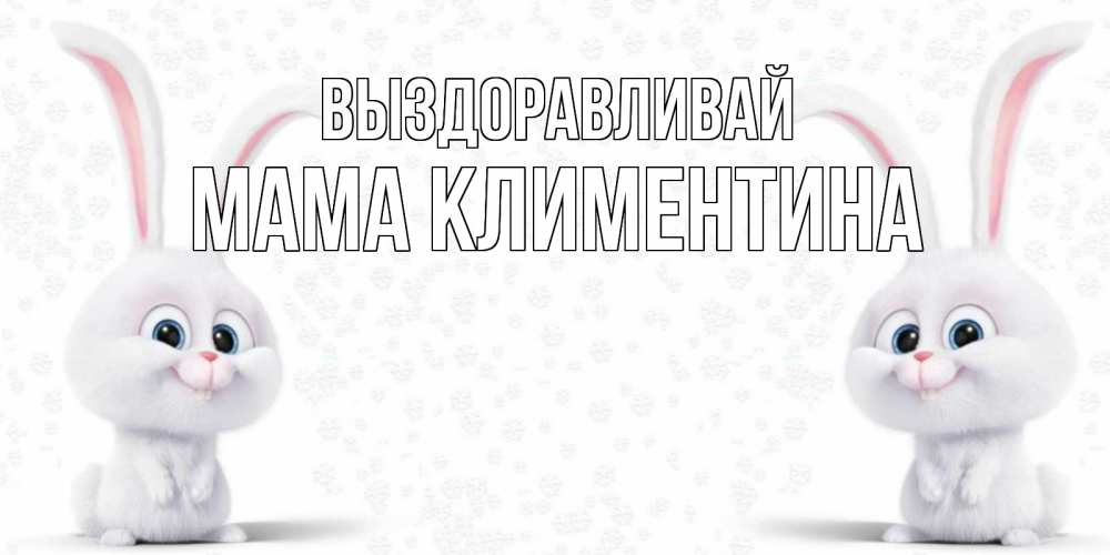 Открытка на каждый день с именем, Мама-Климентина Выздоравливай не болей с зайцем Прикольная открытка с пожеланием онлайн скачать бесплатно 