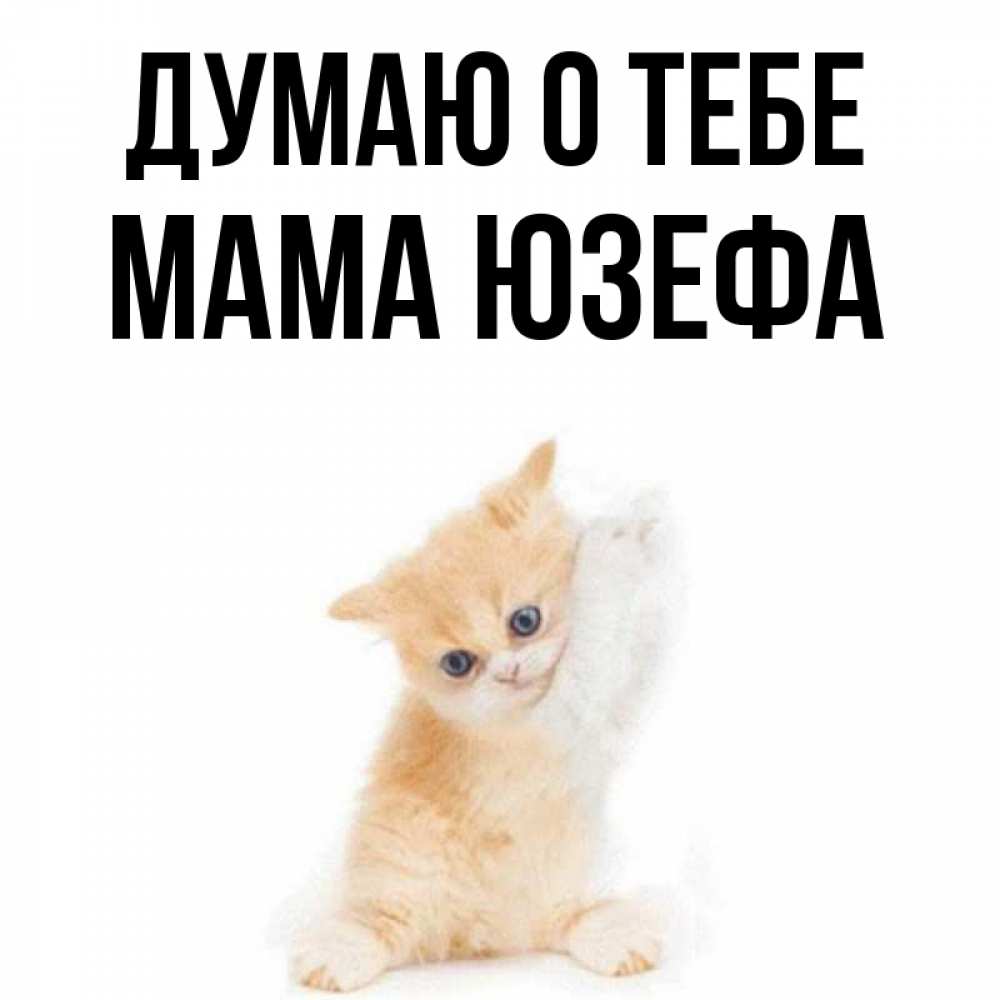 Открытка на каждый день с именем, Мама-Юзефа Думаю о тебе зверушки и милота Прикольная открытка с пожеланием онлайн скачать бесплатно 