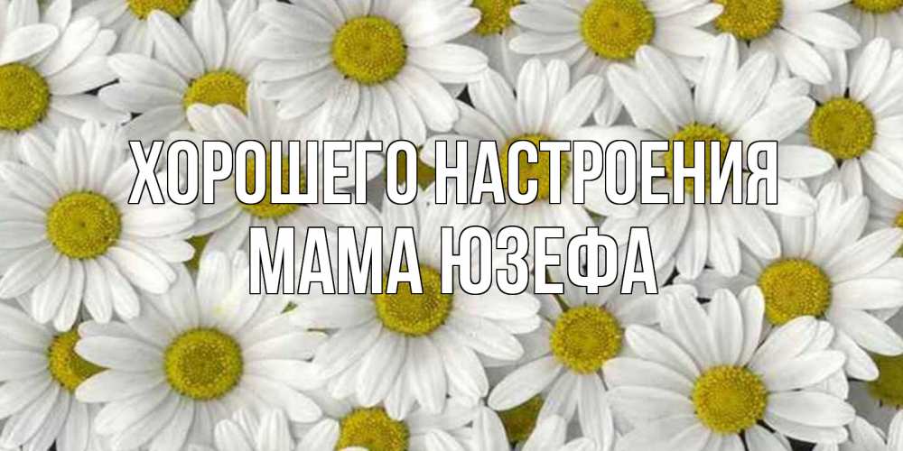Открытка на каждый день с именем, Мама-Юзефа Хорошего настроения поляна ромашек Прикольная открытка с пожеланием онлайн скачать бесплатно 