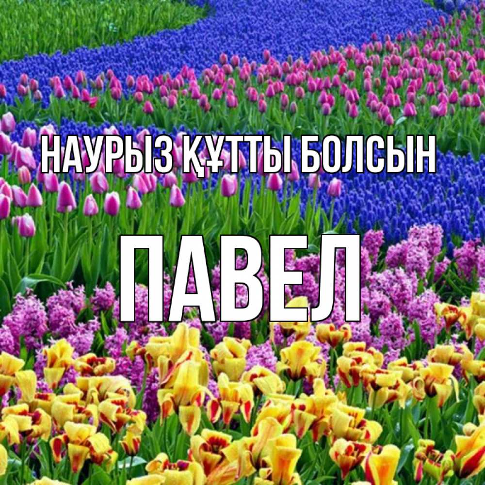 Открытка на каждый день с именем, Павел Наурыз құтты болсын цветы Прикольная открытка с пожеланием онлайн скачать бесплатно 