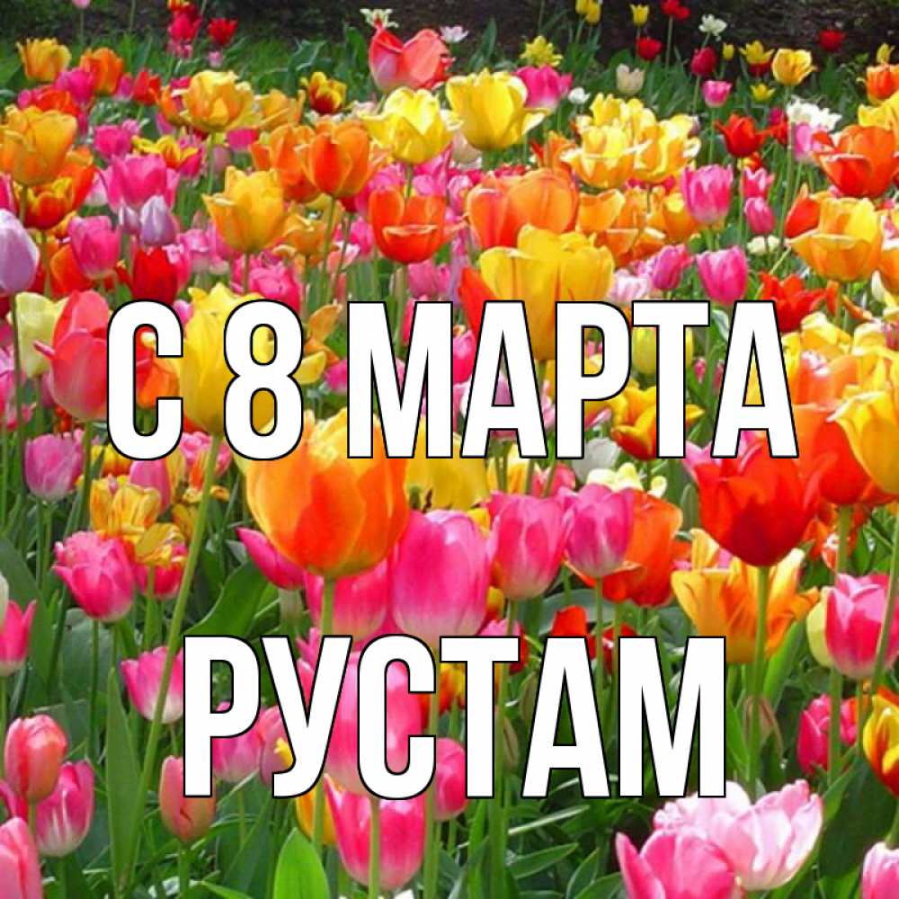 Открытка на каждый день с именем, Рустам С 8 МАРТА на международный женский день Прикольная открытка с пожеланием онлайн скачать бесплатно 