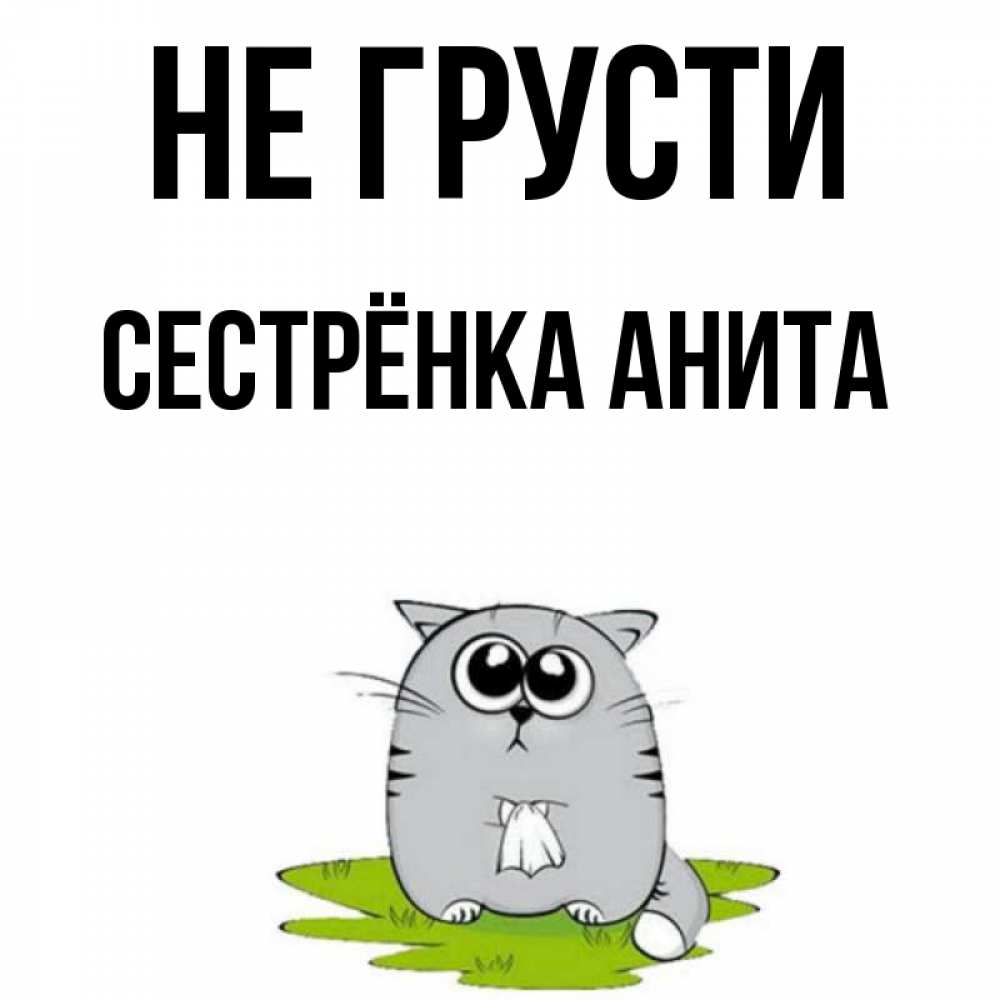 Открытка на каждый день с именем, Сестрёнка-Анита Не грусти грустный котяра Прикольная открытка с пожеланием онлайн скачать бесплатно 