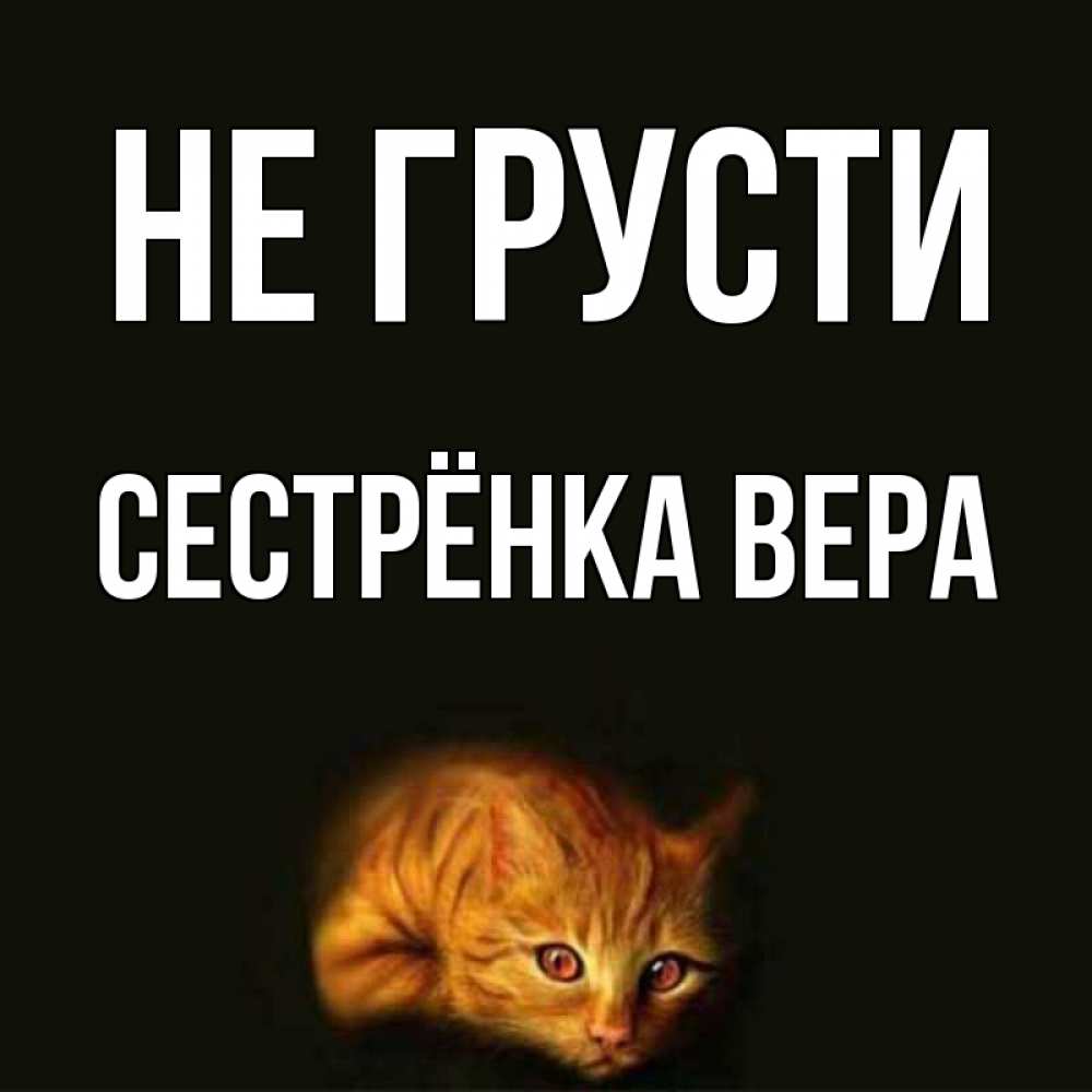 Открытка на каждый день с именем, Сестрёнка-Вера Не грусти лежащий кот в темноте Прикольная открытка с пожеланием онлайн скачать бесплатно 