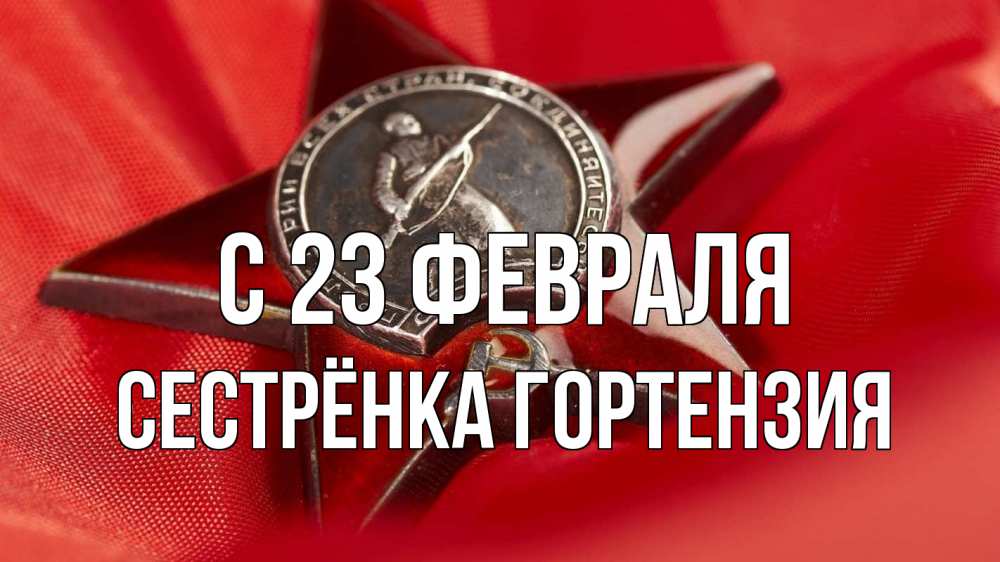 Открытка на каждый день с именем, Сестрёнка-Гортензия С 23 февраля 23 февраля Прикольная открытка с пожеланием онлайн скачать бесплатно 