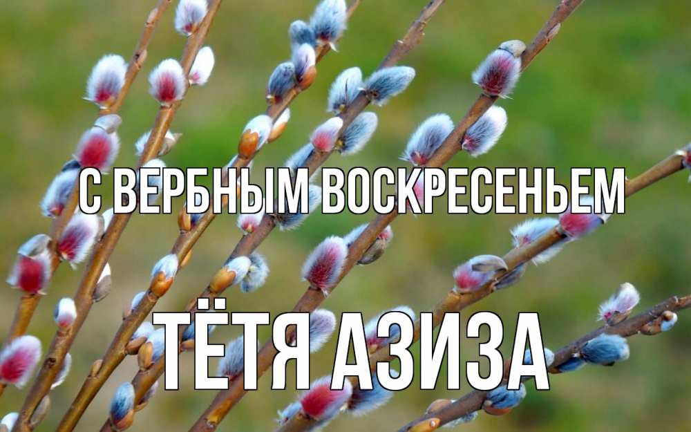Открытка на каждый день с именем, Тётя-Азиза С вербным воскресеньем верба Прикольная открытка с пожеланием онлайн скачать бесплатно 