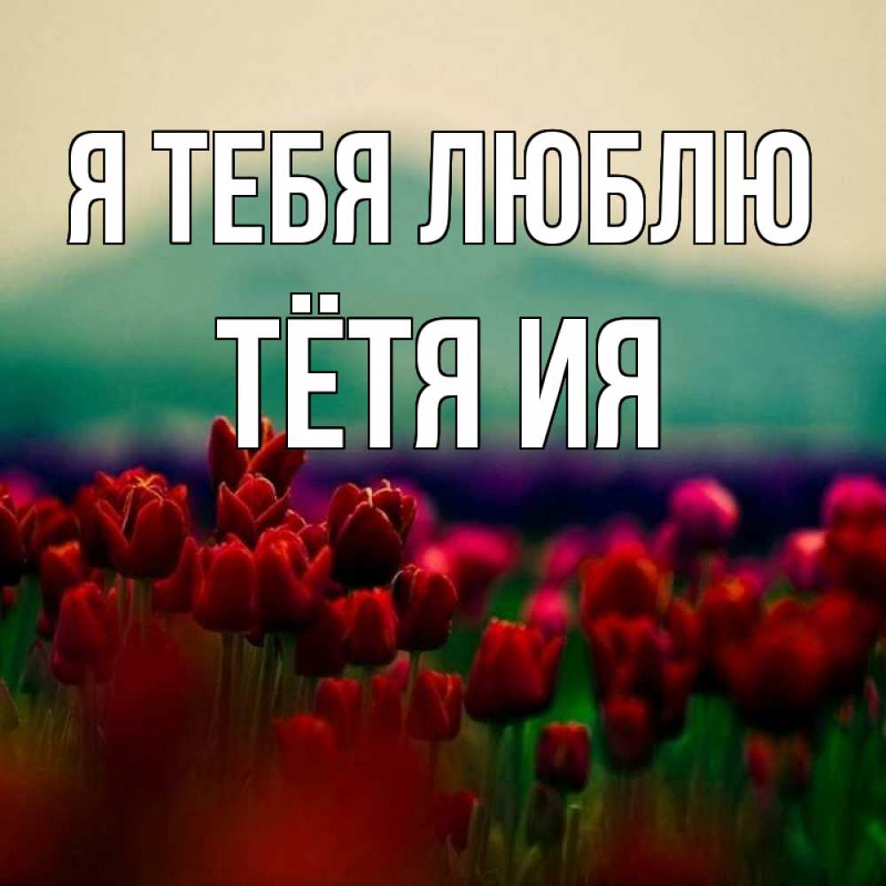 Открытка на каждый день с именем, Тётя-Ия Я тебя люблю тюльпаны 4 Прикольная открытка с пожеланием онлайн скачать бесплатно 