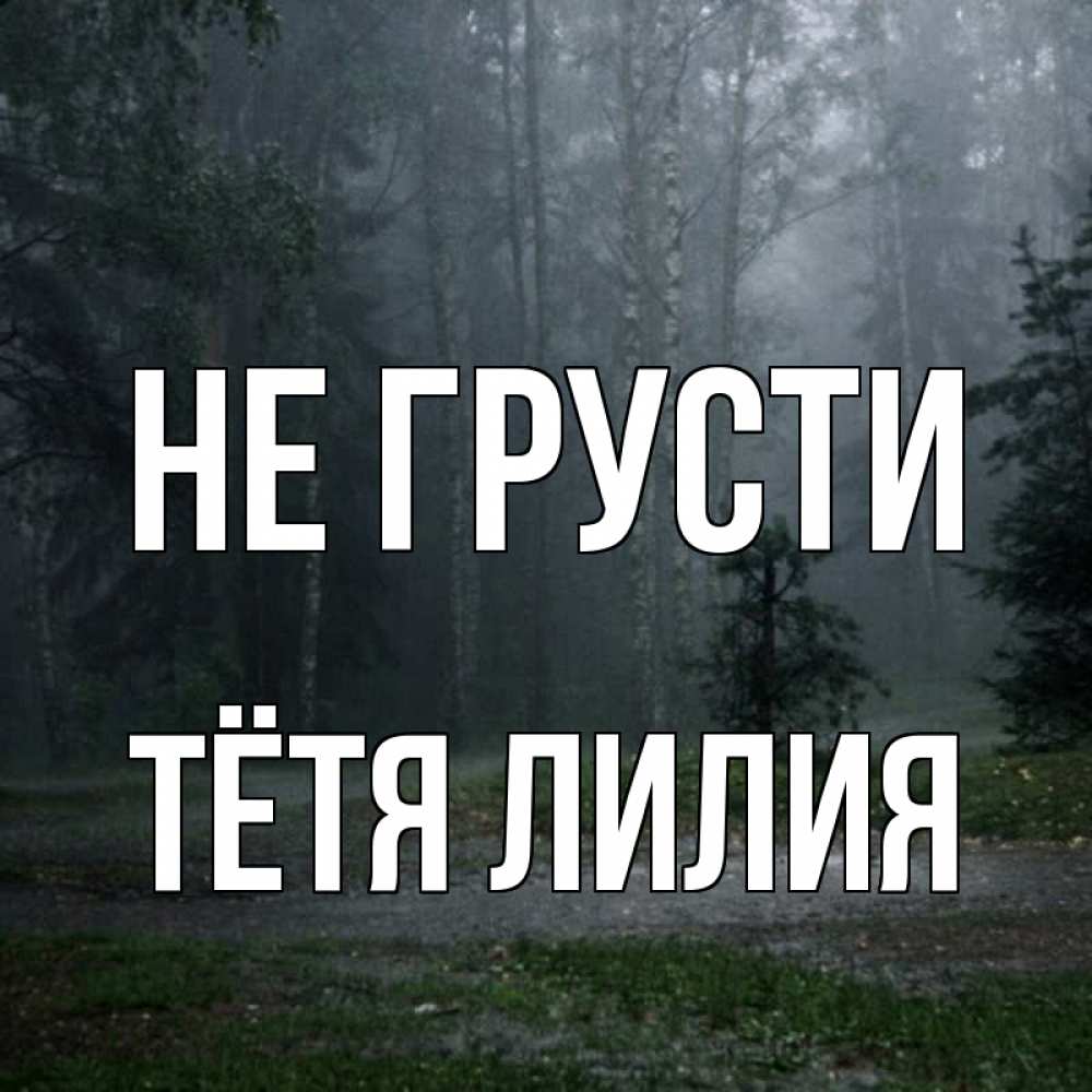 Открытка на каждый день с именем, Тётя-Лилия Не грусти осень Прикольная открытка с пожеланием онлайн скачать бесплатно 
