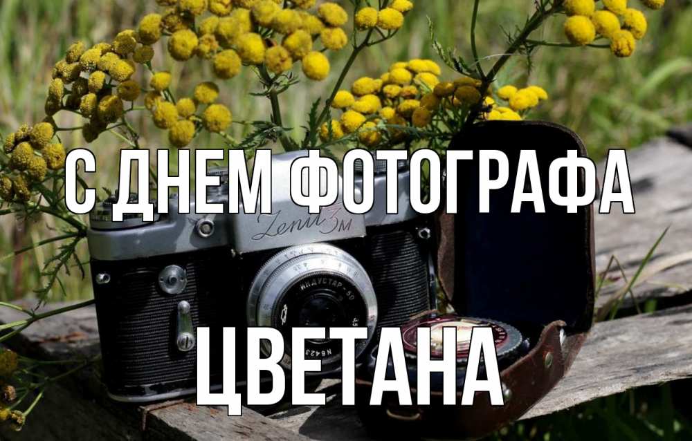 Открытка на каждый день с именем, Цветана С днем фотографа с днем фотографа Прикольная открытка с пожеланием онлайн скачать бесплатно 