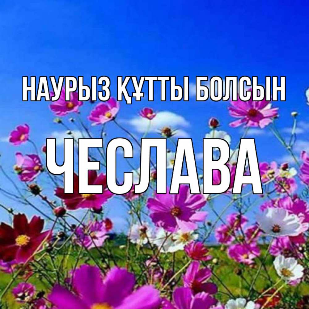 Открытка на каждый день с именем, Чеслава Наурыз құтты болсын цветы Прикольная открытка с пожеланием онлайн скачать бесплатно 