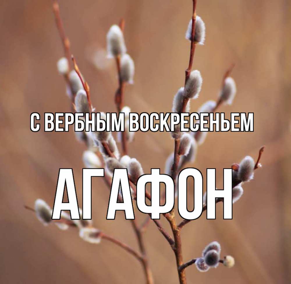 Открытка на каждый день с именем, Агафон С вербным воскресеньем верба Прикольная открытка с пожеланием онлайн скачать бесплатно 