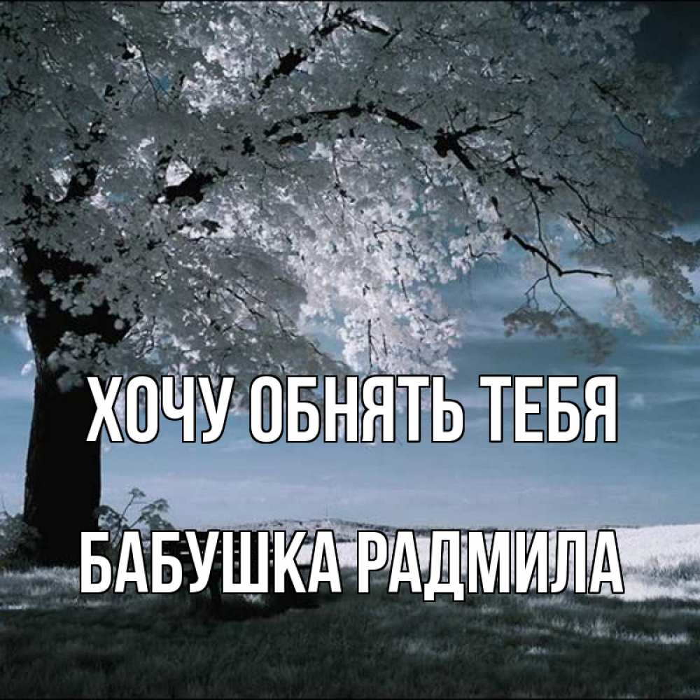 Открытка на каждый день с именем, Бабушка-Радмила Хочу обнять тебя дерево Прикольная открытка с пожеланием онлайн скачать бесплатно 