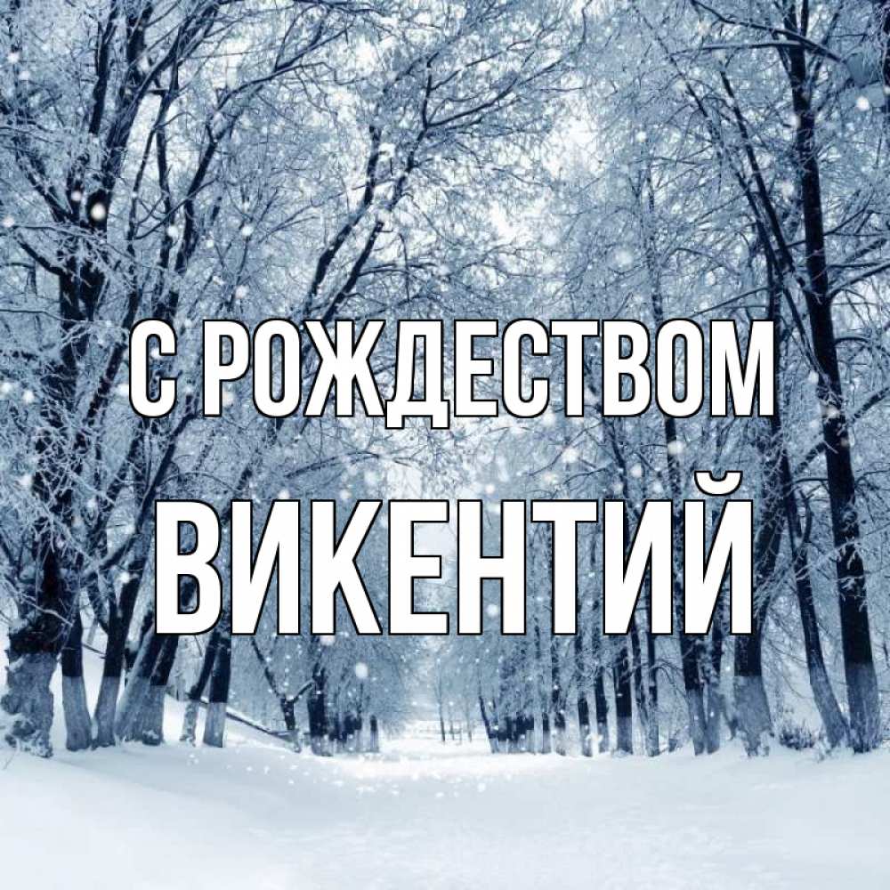 Открытка на каждый день с именем, Викентий С рождеством снег, лес, парк Прикольная открытка с пожеланием онлайн скачать бесплатно 