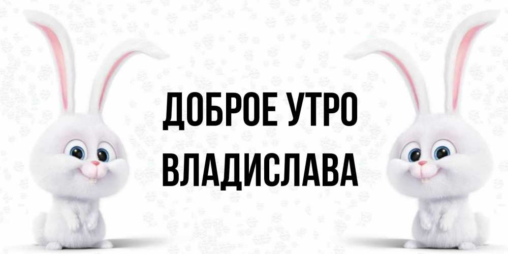 Открытка на каждый день с именем, Владислава Доброе утро кролики с длинными ушками Прикольная открытка с пожеланием онлайн скачать бесплатно 