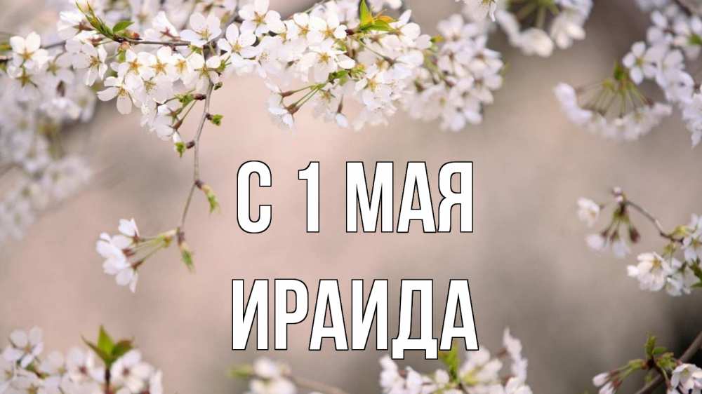 Открытка на каждый день с именем, Ираида С 1 мая С 1 мая Прикольная открытка с пожеланием онлайн скачать бесплатно 