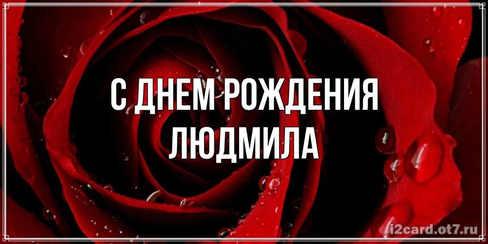 Открытка на каждый день с именем, ЛЮДМИЛА С днем рождения крупная бордовая роза Прикольная открытка с пожеланием онлайн скачать бесплатно 