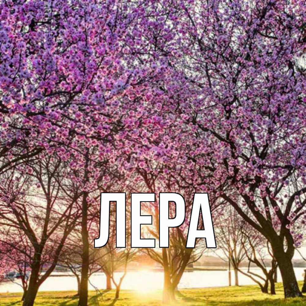 Открытка на каждый день с именем, Лера Главная наурыз Прикольная открытка с пожеланием онлайн скачать бесплатно 